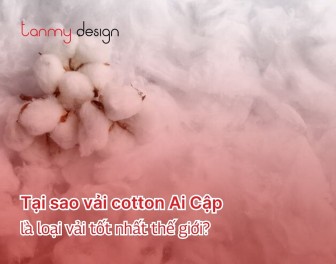 Tại sao vải cotton Ai Cập là loại vải tốt nhất thế giới?