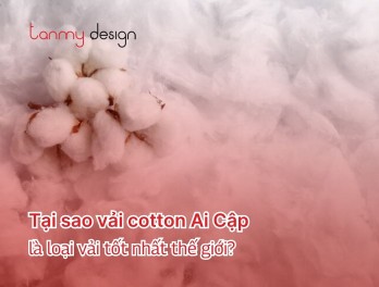 Tại sao vải cotton Ai Cập là loại vải tốt nhất thế giới?