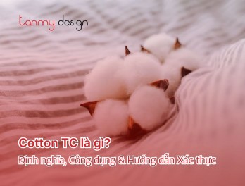 Cotton TC là gì? Định nghĩa, Công dụng & Hướng dẫn Xác thực